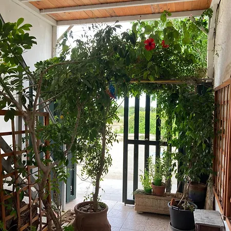 Litoralis טורה קולימנה