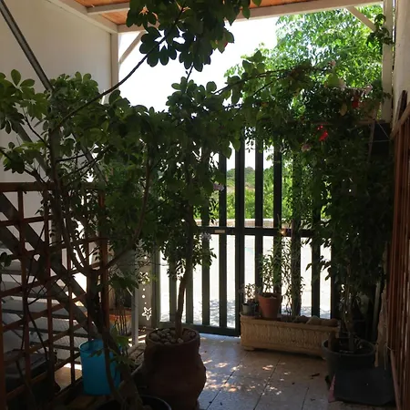 Apartament Litoralis