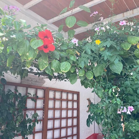 Litoralis Apartament Torre Colimena