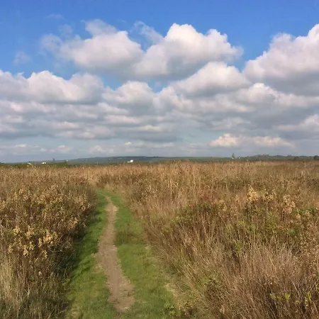 Apartament Litoralis *