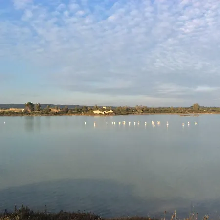 Litoralis Torre Colimena