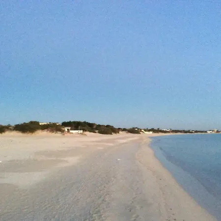 Litoralis * טורה קולימנה