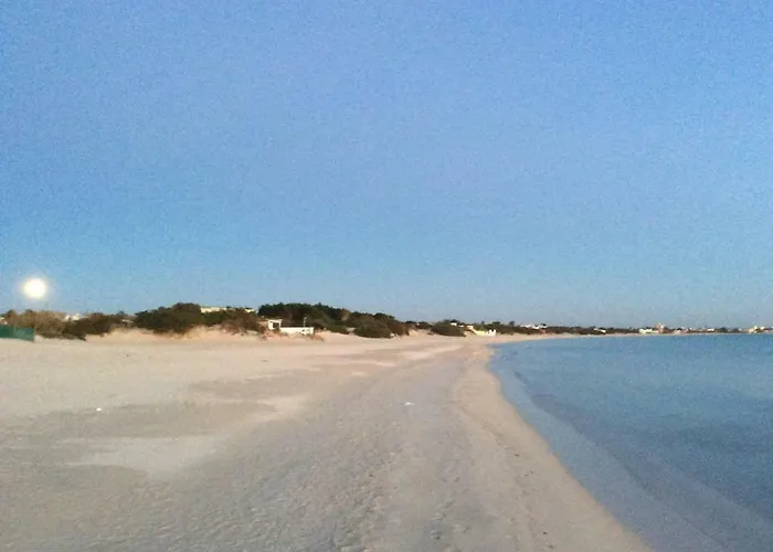 Litoralis * Torre Colimena